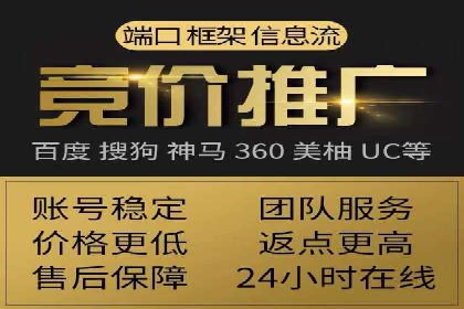 某电商平台的SEM广告投放策略及效果评估